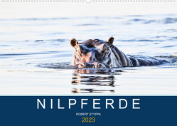Nilpferde, Kolosse in Afrika (Wandkalender 2023 DIN A2 quer) von Styppa,  Robert