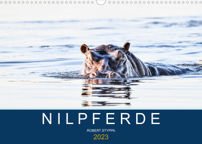 Nilpferde, Kolosse in Afrika (Wandkalender 2023 DIN A3 quer) von Styppa,  Robert
