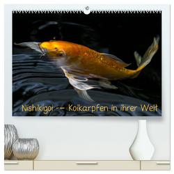 Nishikigoi – Koikarpfen in ihrer Welt (hochwertiger Premium Wandkalender 2024 DIN A2 quer), Kunstdruck in Hochglanz von Renken,  Erwin