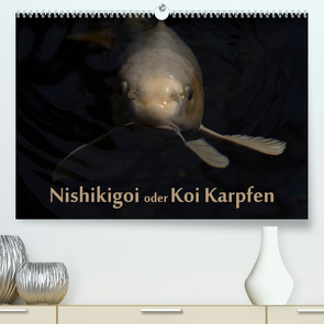 Nishikigoi oder Koi Karpfen (Premium, hochwertiger DIN A2 Wandkalender 2023, Kunstdruck in Hochglanz) von Renken,  Erwin