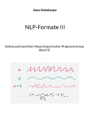 NLP-Formate III von Weinberger,  Hans