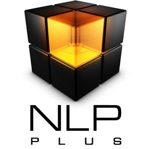 Ein Jahr NLP plus – inkl. zert. Ausbildung zum NLP-Practitioner und vielen Wochenendseminaren von Wolf,  Julian