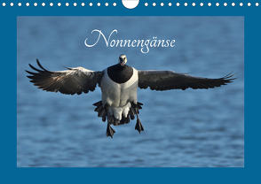 Nonnengänse (Wandkalender 2020 DIN A4 quer) von Weiß,  Elmar