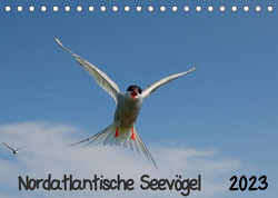 Nordatlantische Seevögel (Tischkalender 2023 DIN A5 quer) von Wolf,  Gerald
