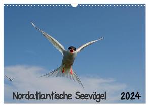 Nordatlantische Seevögel (Wandkalender 2024 DIN A3 quer), CALVENDO Monatskalender von Wolf,  Gerald