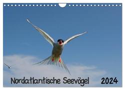 Nordatlantische Seevögel (Wandkalender 2024 DIN A4 quer), CALVENDO Monatskalender von Wolf,  Gerald