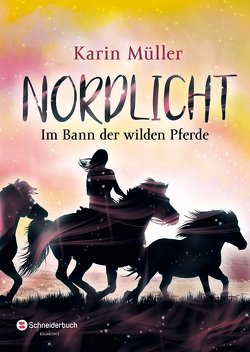 Nordlicht, Band 02 von Mueller,  Karin