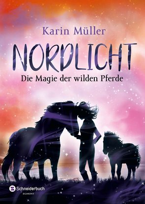 Nordlicht, Band 03 von Mueller,  Karin