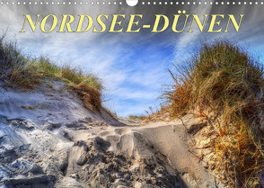 Nordsee-Dünen (Wandkalender 2022 DIN A3 quer) von Roder,  Peter