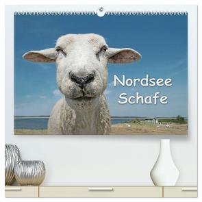 Nordsee Schafe (hochwertiger Premium Wandkalender 2024 DIN A2 quer), Kunstdruck in Hochglanz von Wilken,  Andrea