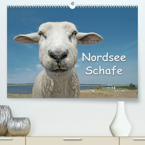 Nordsee Schafe (Premium, hochwertiger DIN A2 Wandkalender 2022, Kunstdruck in Hochglanz) von Wilken,  Andrea