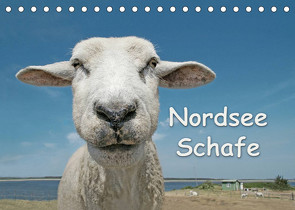 Nordsee Schafe (Tischkalender 2023 DIN A5 quer) von Wilken,  Andrea
