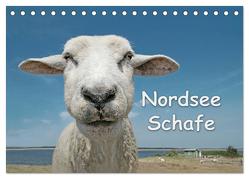 Nordsee Schafe (Tischkalender 2024 DIN A5 quer), CALVENDO Monatskalender von Wilken,  Andrea