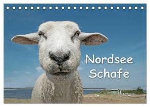 Nordsee Schafe (Tischkalender 2024 DIN A5 quer), CALVENDO Monatskalender von Wilken,  Andrea