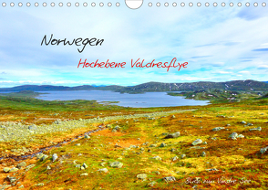 Norwegen – Hochebene Valdresflye (Wandkalender 2021 DIN A4 quer) von Berger,  Andreas