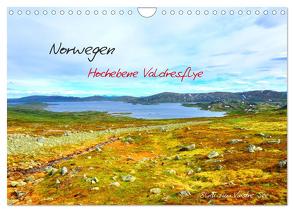 Norwegen – Hochebene Valdresflye (Wandkalender 2024 DIN A4 quer), CALVENDO Monatskalender von Berger,  Andreas