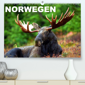 Norwegen (Premium, hochwertiger DIN A2 Wandkalender 2023, Kunstdruck in Hochglanz) von Stanzer,  Elisabeth