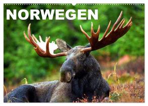 Norwegen (Wandkalender 2024 DIN A2 quer), CALVENDO Monatskalender von Stanzer,  Elisabeth