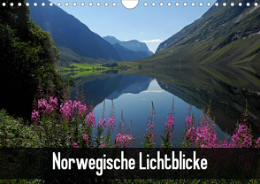 Norwegische Lichtblicke (Wandkalender 2021 DIN A4 quer) von Pons,  Andrea
