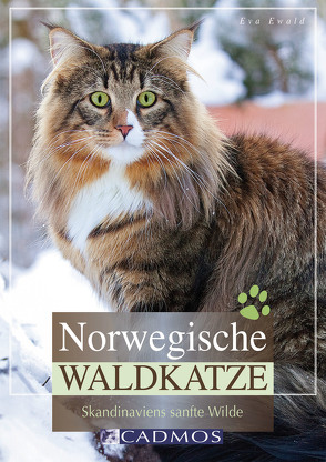 Norwegische Waldkatze von Ewald,  Eva