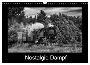 Nostalgie Dampf (Wandkalender 2024 DIN A3 quer), CALVENDO Monatskalender von Maurer,  Marion