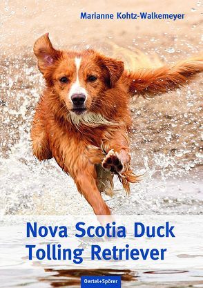 Nova Scotia Duck Tolling Retriever von Kohtz-Walkemeyer,  Marianne