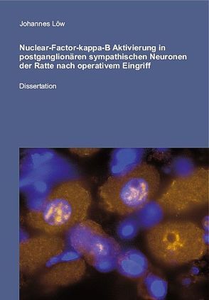 Nuclear-Factor-kappa-B Aktivierung in postganglionären sympathischen Neuronen der Ratte nach oparativem Eingriff von Löw,  Johannes