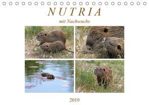 NUTRIA mit Nachwuchs (Tischkalender 2019 DIN A5 quer) von SchnelleWelten