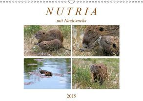 NUTRIA mit Nachwuchs (Wandkalender 2019 DIN A3 quer) von SchnelleWelten