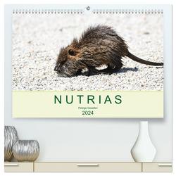 NUTRIAS – Pelzige Gesellen (hochwertiger Premium Wandkalender 2024 DIN A2 quer), Kunstdruck in Hochglanz von Styppa,  Robert