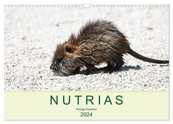 NUTRIAS – Pelzige Gesellen (Wandkalender 2024 DIN A3 quer), CALVENDO Monatskalender von Styppa,  Robert