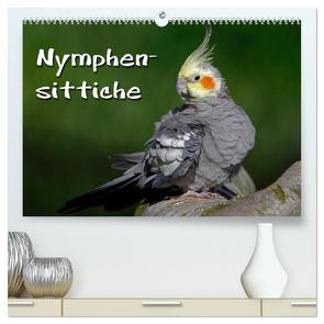Nymphensittiche (hochwertiger Premium Wandkalender 2024 DIN A2 quer), Kunstdruck in Hochglanz von Berg,  Martina