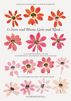 O Stern und Blume, Geist und Kleid… von Schirmer,  Lothar, Schneider,  Marianne