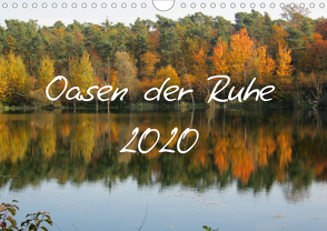 Oasen der Ruhe 2020 / Geburtstagskalender (Wandkalender 2020 DIN A4 quer) von Stein,  Gaby