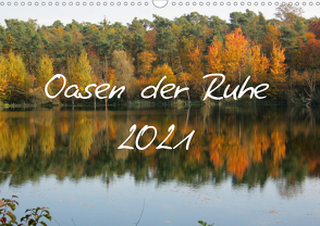 Oasen der Ruhe 2021 / Geburtstagskalender (Wandkalender 2021 DIN A3 quer) von Stein,  Gaby