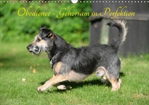 Obedience – Gehorsam in Perfektion (Wandkalender 2018 DIN A3 quer) von Spona,  Helma