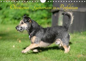 Obedience – Gehorsam in Perfektion (Wandkalender 2019 DIN A4 quer) von Spona,  Helma