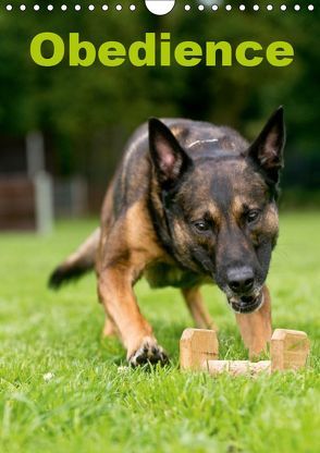 Obedience (Wandkalender 2019 DIN A4 hoch) von Spona / HSV Crazy-Dogs Niederrhein e.V.,  Helma