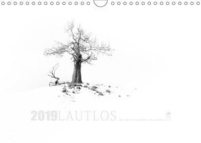 Lautlos (Wandkalender 2019 DIN A4 quer) von Melech,  Frank
