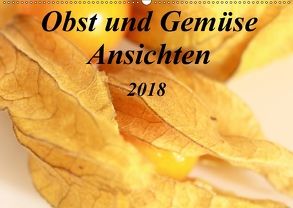 Obst und Gemüse Ansichten (Wandkalender 2018 DIN A2 quer) von r.gue.