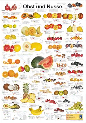 Obst und Nüsse von Welter-Schultes,  F W