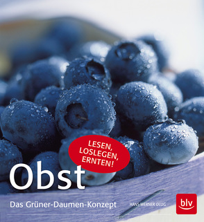 Obst von Ollig,  Hans-Werner