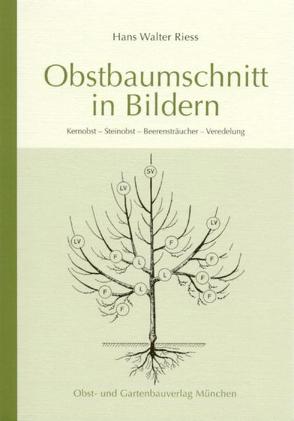 Obstbaumschnitt in Bildern von Riess,  Hans W