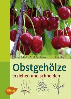 Obstgehölze erziehen und schneiden von Großmann,  Gerd, Schulz,  Bernd