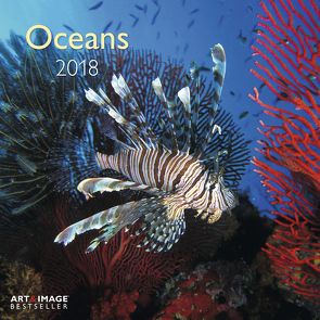 Oceans 2018 A&I
