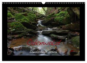 Odenwald – Landschaft sehen (Wandkalender 2024 DIN A3 quer), CALVENDO Monatskalender von Kropp,  Gert
