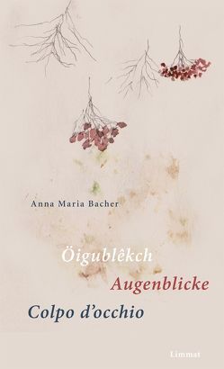 Öigublêkch / Augenblicke / Colpo d’occhio von Bacher,  Anna Maria, Salsa,  Annibale, Wanner,  Kurt