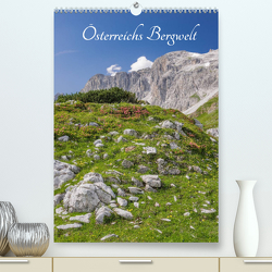 Österreichs Bergwelt (Premium, hochwertiger DIN A2 Wandkalender 2022, Kunstdruck in Hochglanz) von Aigner,  Susanne, Brandstätter,  Hannes