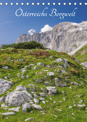Österreichs Bergwelt (Tischkalender 2022 DIN A5 hoch) von Aigner,  Susanne, Brandstätter,  Hannes