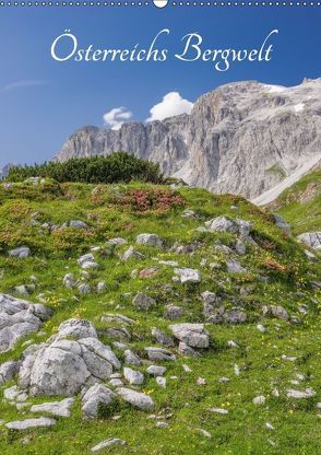 Österreichs Bergwelt (Wandkalender 2018 DIN A2 hoch) von Aigner,  Susanne, Brandstätter,  Hannes